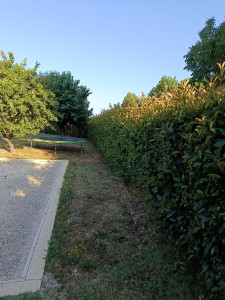 Photo de galerie - Avant 
