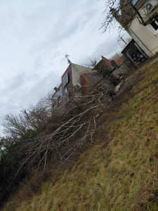 Photo de galerie - Après 