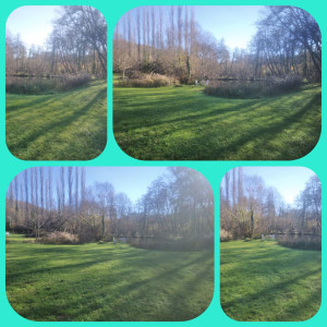 Photo de galerie - Tonte de pelouse - Débroussaillage