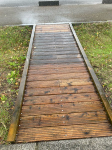 Photo de galerie - Nettoyage passerelle piéton