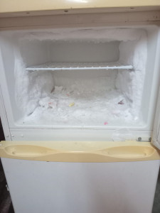 Photo de galerie - Réfrigérateur 