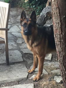 Photo de galerie - J’attends que l’on me lance la balle 