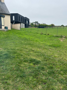 Photo de galerie - Tonte de pelouse - Débroussaillage