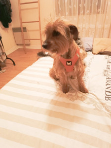 Photo de galerie - Le grand confort chez mamounette !