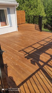 Photo de galerie - Peinture - Tapisserie