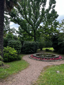 Photo de galerie - Entretien complet (taille,tonte,désherbage)