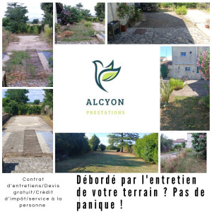 Photo de galerie - Paysagiste - Aménagement du jardin