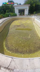 Photo de galerie - Entretien piscine