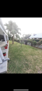 Photo de galerie - Entretien du jardin