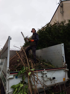 Photo de galerie - Taille de haies et d'arbustes