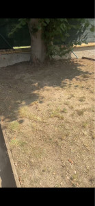 Photo de galerie - Jardinier