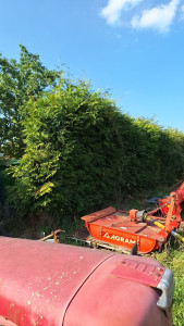 Photo de galerie - .