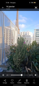 Photo de galerie - Paysagiste - Aménagement du jardin