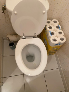 Photo de galerie - Installation abattant wc