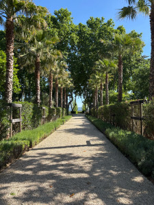 Photo de galerie - Paysagiste - Aménagement du jardin