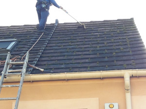 Photo de galerie - Demoussage au balles brosse 