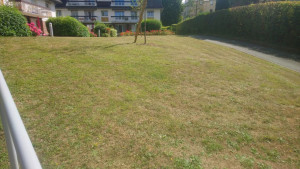 Photo de galerie - Tente