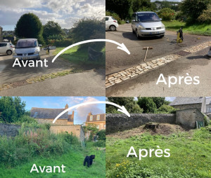 Photo de galerie - Remise en valeur de pavés rattrapés par la végétation, et gros débroussaillage dans un coin de jardin.
