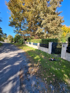 Photo de galerie - Taille de haie
