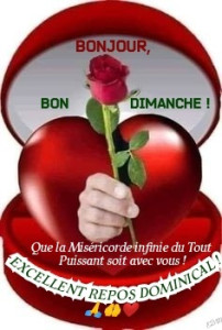 Photo de galerie - La confiance est une fait en soir 