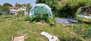 Photo de galerie - Jardinier