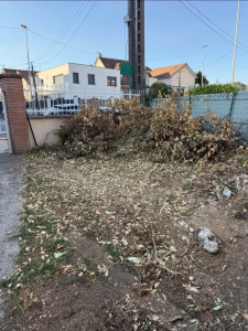 Photo de galerie - Évacuation des déchets verts 