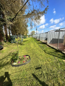 Photo de galerie - Garde animaux