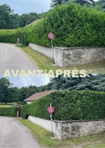 Photo de galerie - Taille de haie avant après 