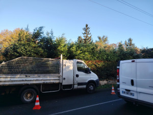 Photo de galerie - Taille et rabbatage d'une haie de thuyas avec evacuation 