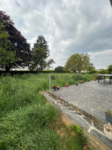 Photo de galerie - Tonte de pelouse - Débroussaillage