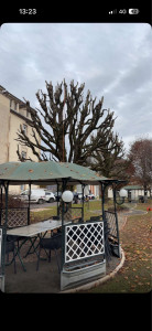 Photo de galerie - Taille courte 