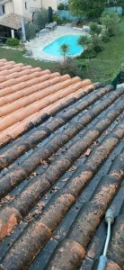 Photo de galerie - Réalisation d'un nettoyage de toiture en cour suivi d'un traitement hydrofuge pulvérisé.