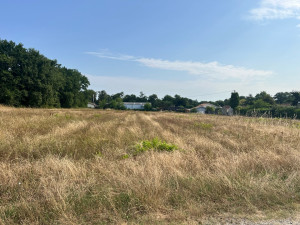 Photo de galerie - AVANT