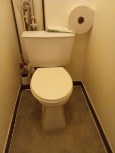 Photo de galerie - Toilette nickel 