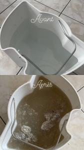 Photo de galerie - Avant et après 