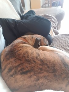 Photo de galerie - Elle sait être attentive 