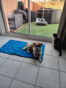 Photo de galerie - Garde à la maison 