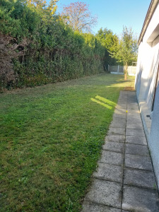 Photo de galerie - Tonte de pelouse - Débroussaillage