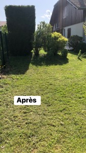 Photo de galerie - Paysagiste - Aménagement du jardin