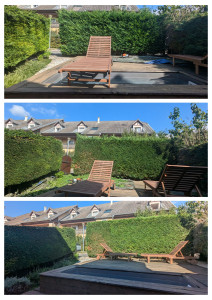 Photo de galerie - Taille d'une haie de cyprès.