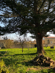 Photo de galerie - Apres 