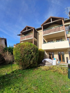 Photo de galerie - Novembre 2025, 
taille d'un bosquet de Troene.