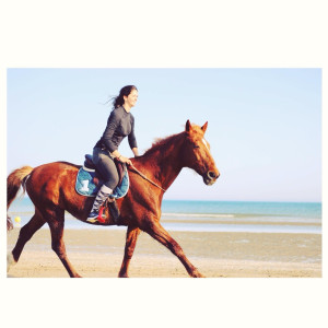 Photo de galerie - Mon cheval