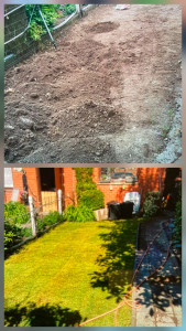 Photo de galerie - Paysagiste - Aménagement du jardin