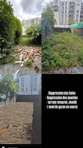 Photo de galerie - Aménagement de terrain