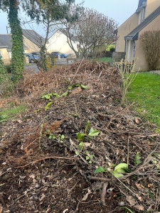 Photo de galerie - évacuation des déchets verts 