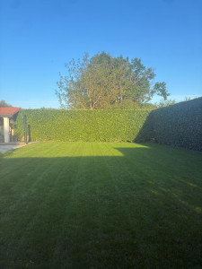 Photo de galerie - Tonte de pelouse 