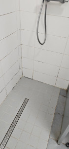 Photo de galerie - Nettoyage avant