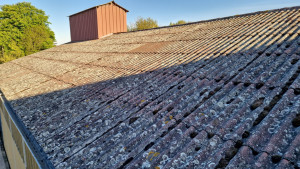 Photo de galerie - Demoussage  hangar agricole 