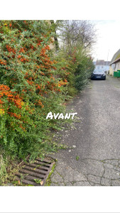 Photo de galerie - Paysagiste - Aménagement du jardin